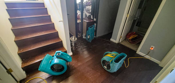 Best Basement water damage restoration  in Merrimac, VA
