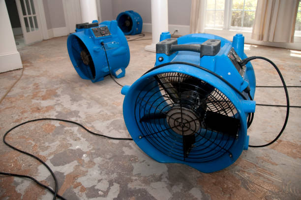 Best Flood restoration services  in Merrimac, VA