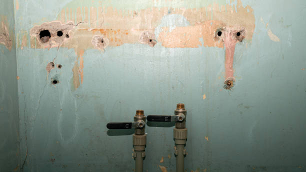 Best Water damage restoration near me  in Merrimac, VA