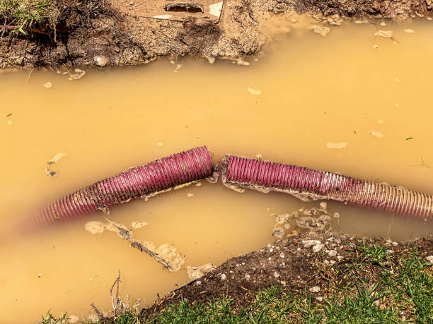 Best Water damage contractors near me  in Merrimac, VA
