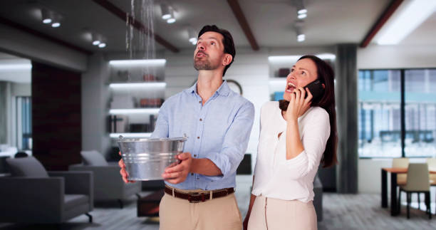 Best Ceiling water damage repair  in Merrimac, VA